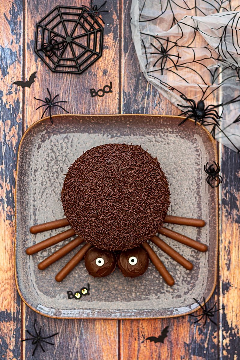 gateau araignée chocolat