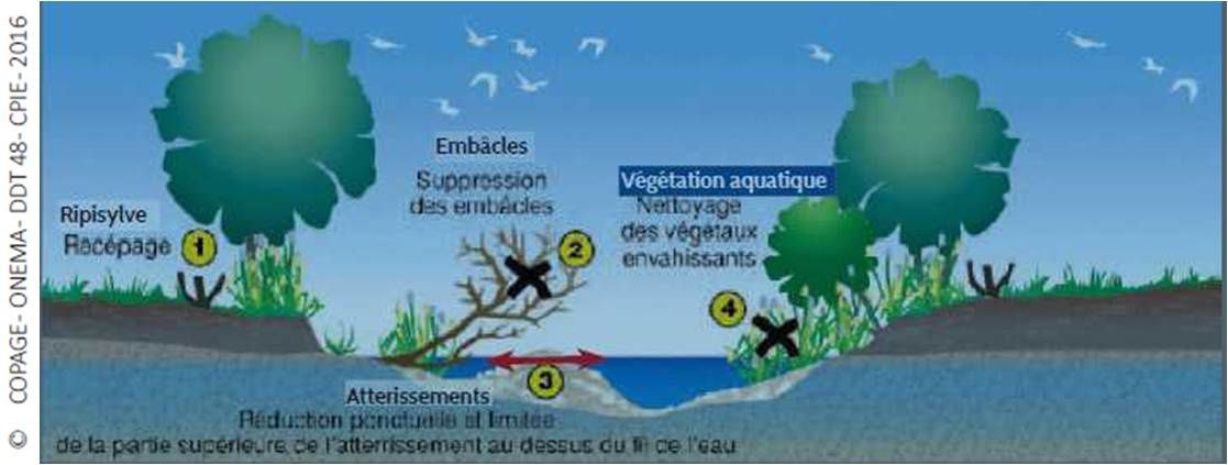 entretien des cours d'eau illustration extraite de plaquette Lozere