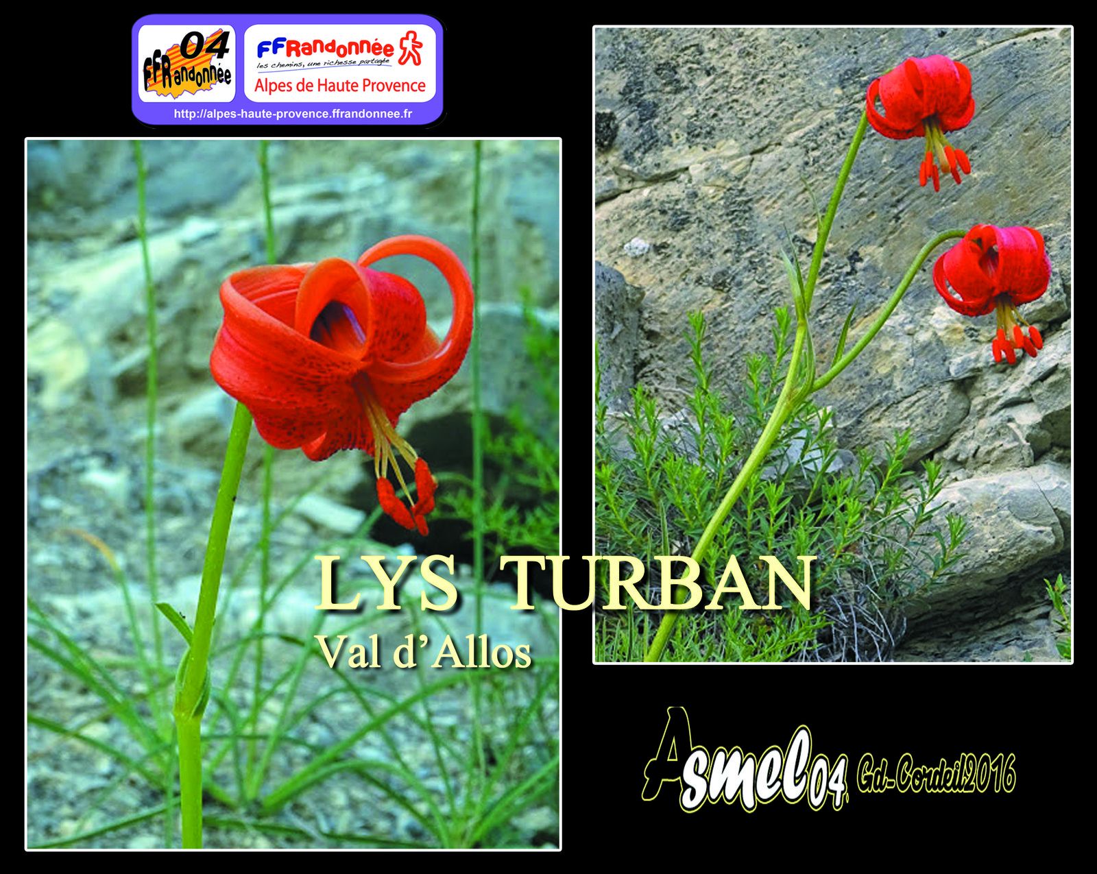 Pour AGRANDIR les PHOTOS, CLIQUER DESSUS - ffrando04.associations@gmail.com ( c)