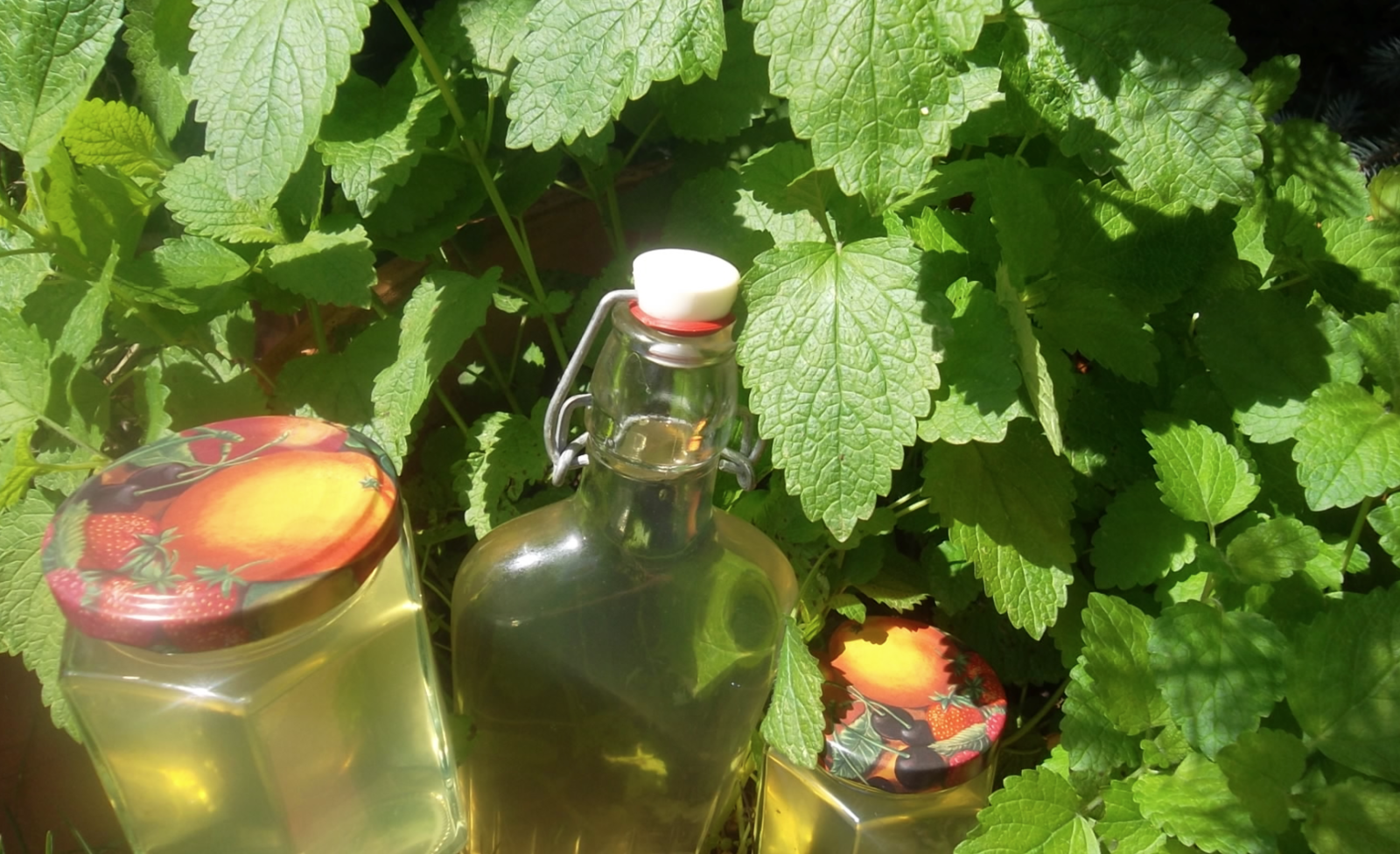 Sirop de violette odorante : notre idée recette - Promesse de Fleurs