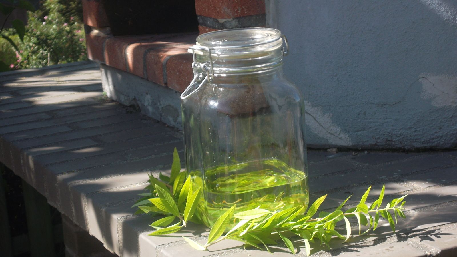 Liqueur de verveine : laissez-vous tenter ! - www.lesjardinsdalice.ch