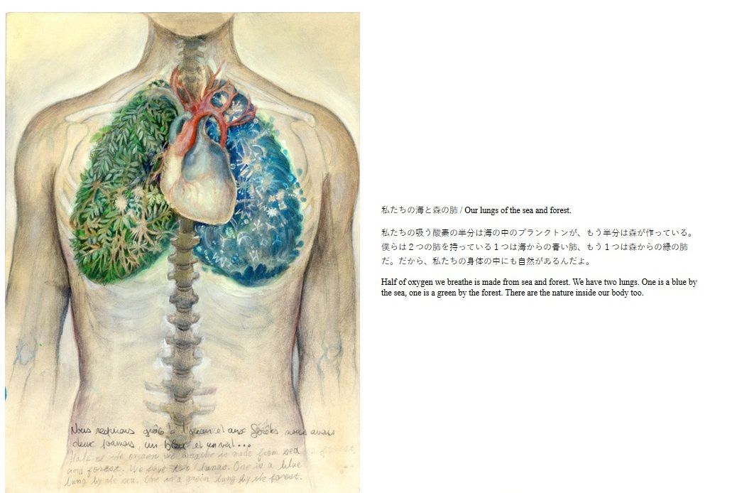 L'oxygène que nous respirons est produit sur la terre par les forêts et dans les mers par le plancton. C'est à bord d'une expédition dans les îles du Japon à bord de la goélette scientifique française Tara que l'artiste japonaise Maki Ohkojima a découvert la biodiversité incroyable des mers.