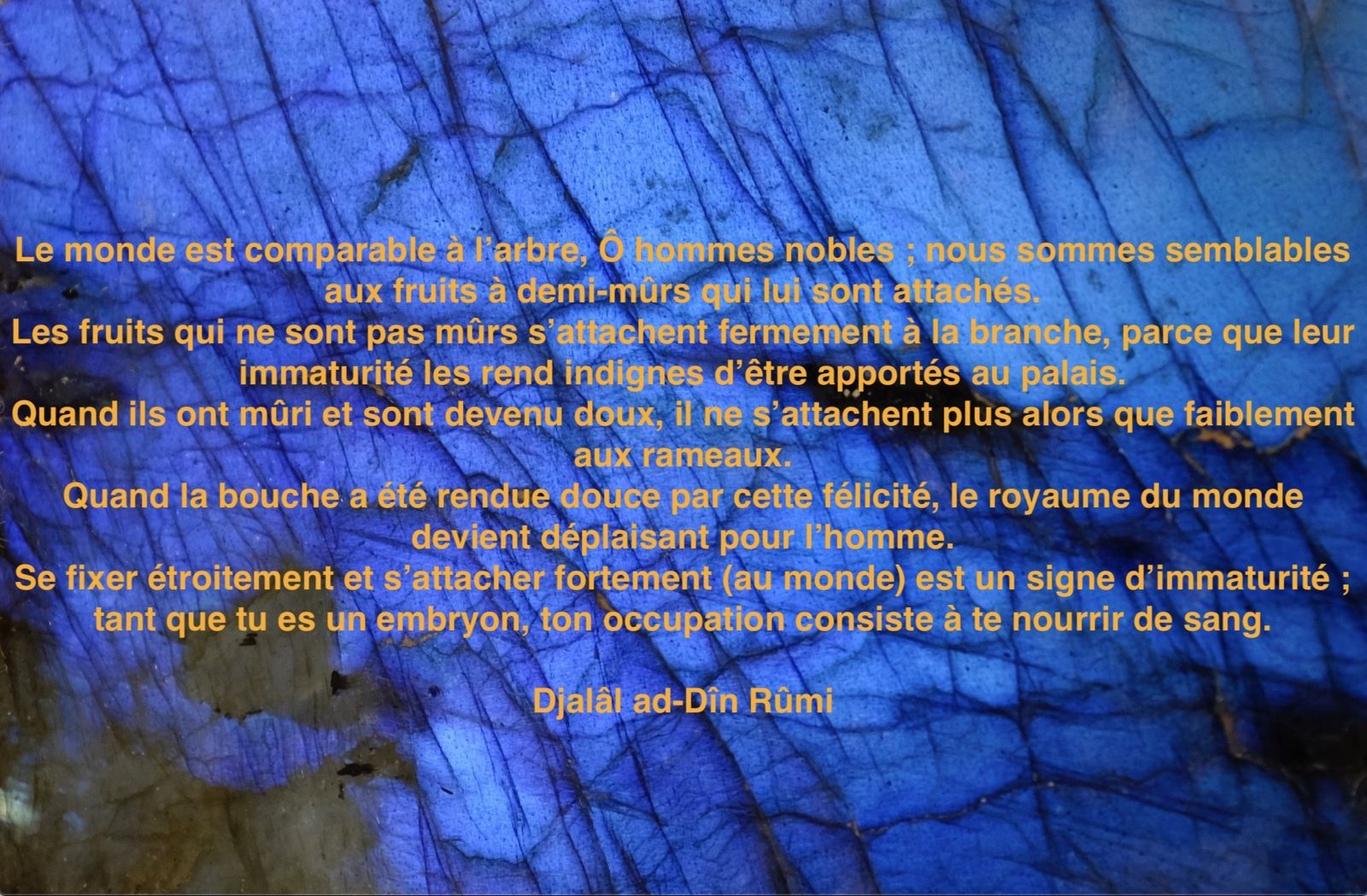 Le monde est comparable à l'arbre... (Rûmî)