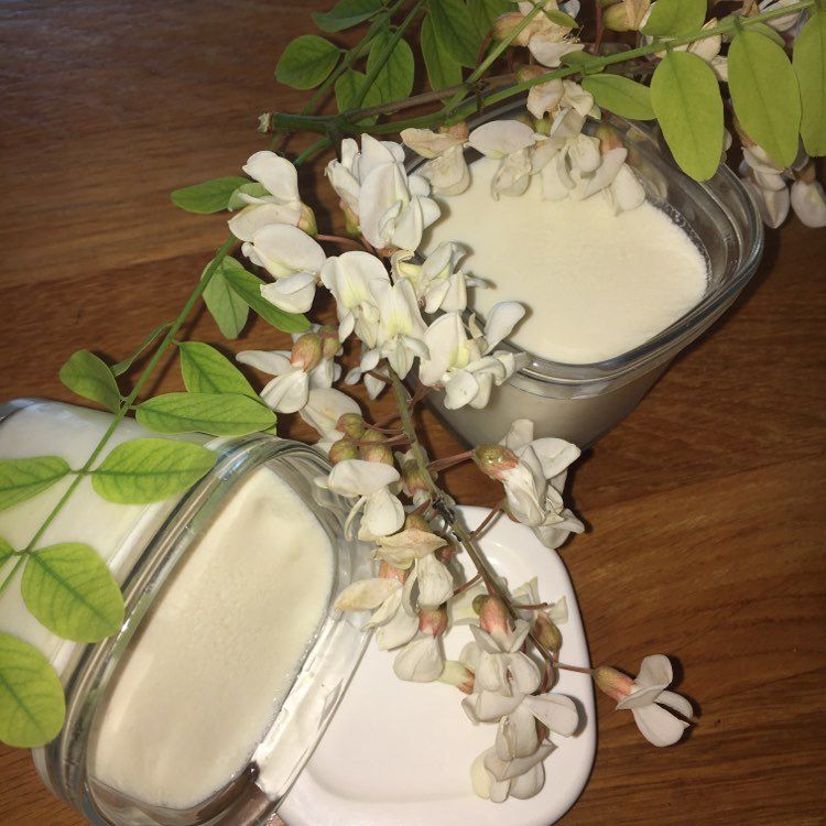 yaourt aux fleurs d'acacia