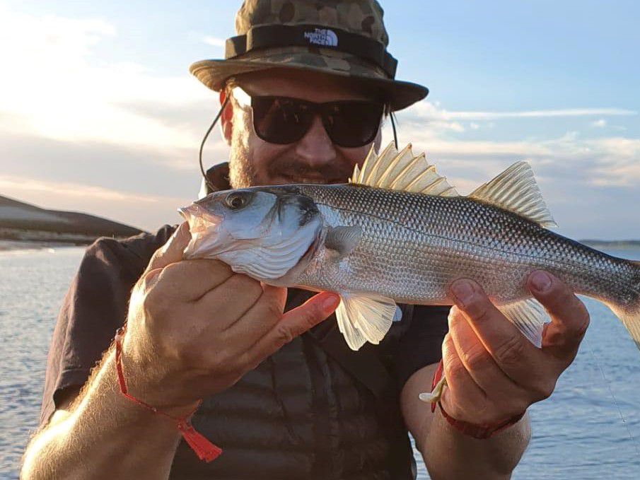 Boîte de pêche - Léger / ultra léger - Truites Perches et rockfishing -  Fredlebaron ¤ Fishing Addict