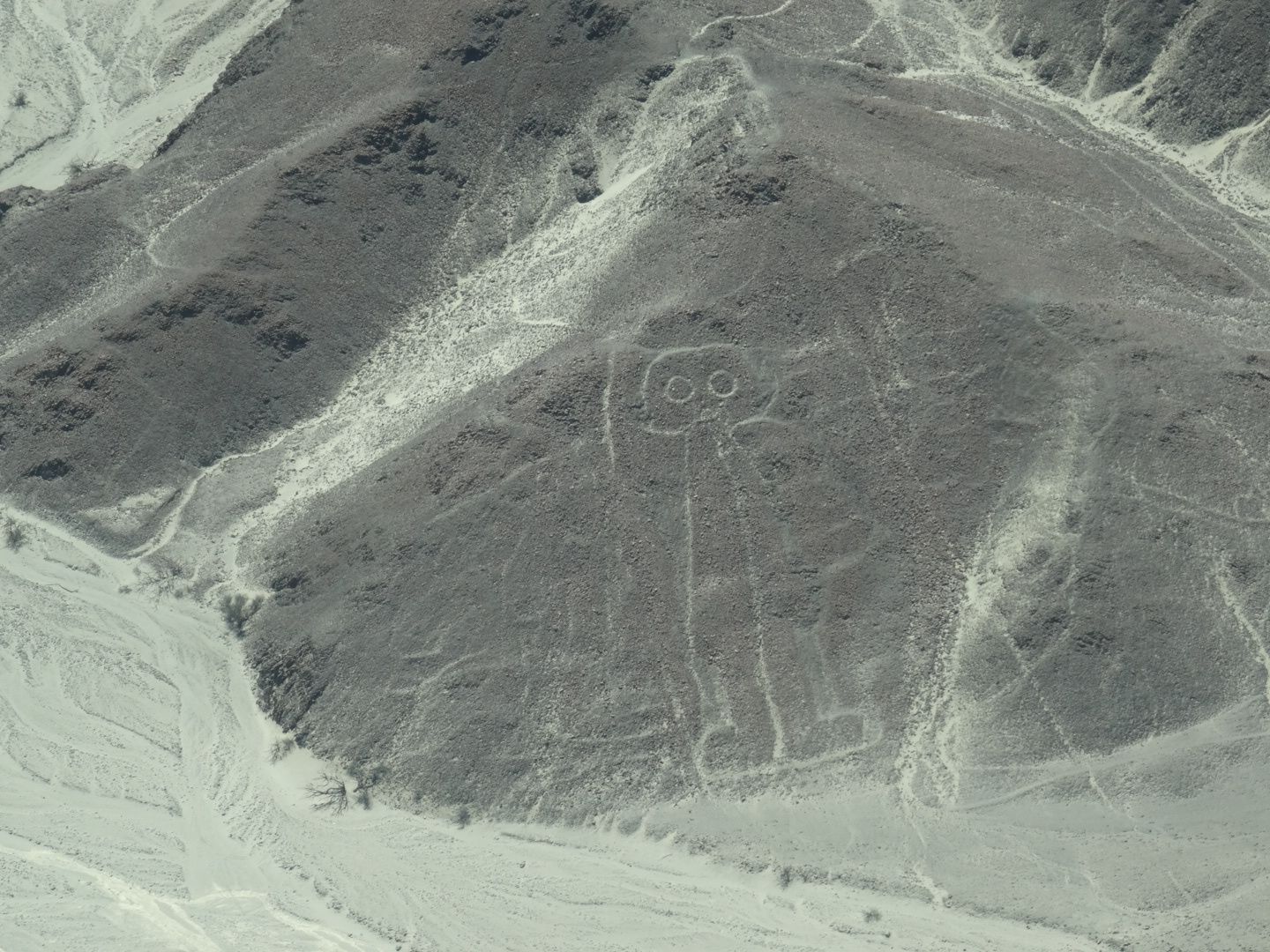 Les lignes de Nazca