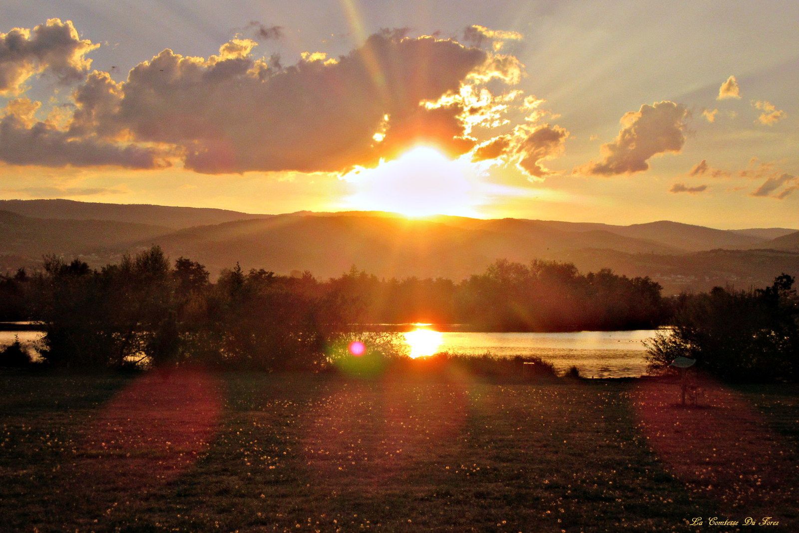 Coucher de soleil sur l'étang de Savigneux (42600, LOire)