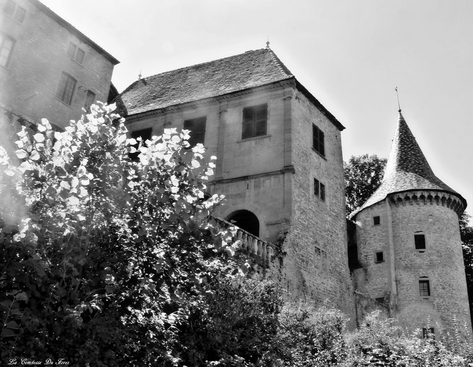 Château de Jarnioux (69640 Jarnioux - Beaujolais)