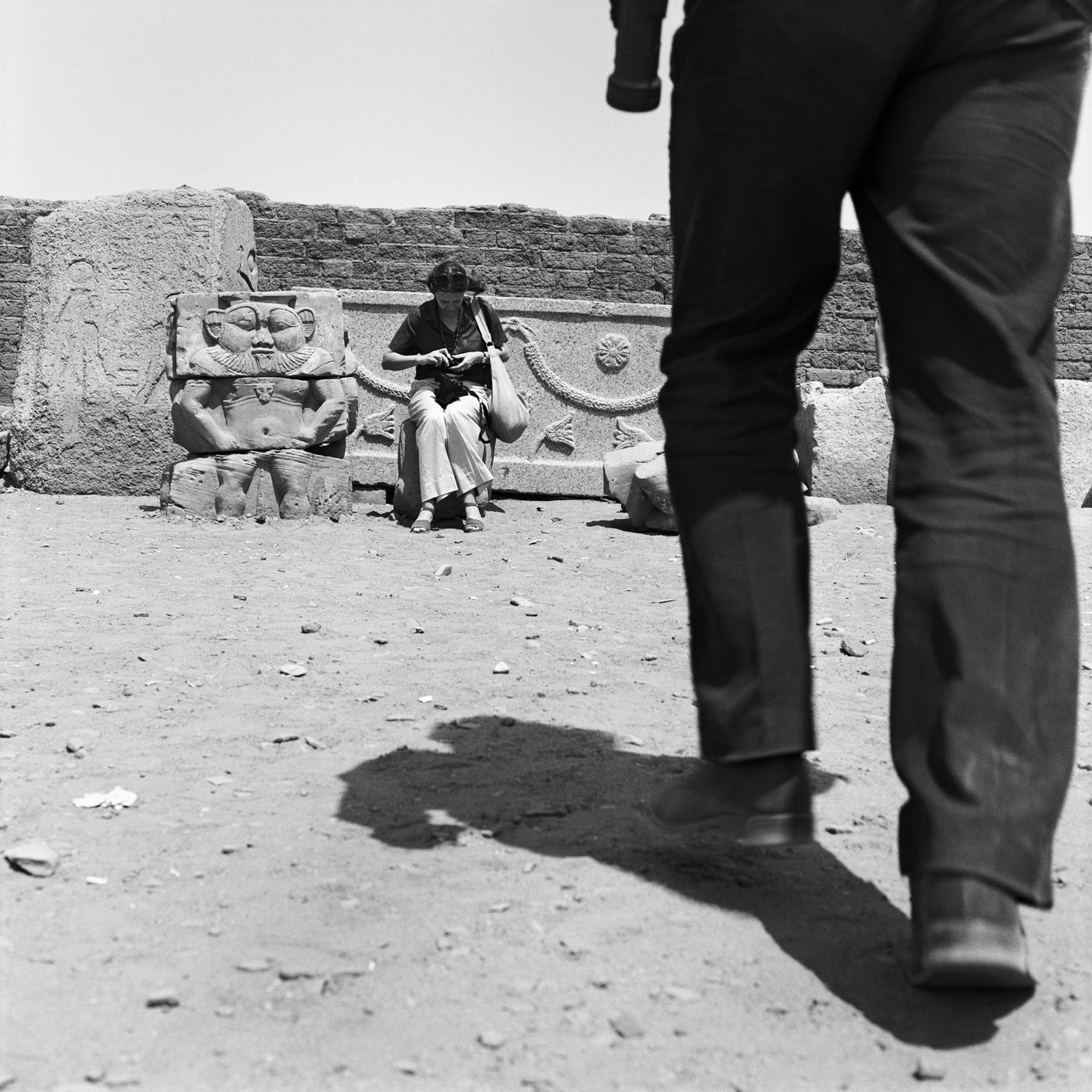 Denis Roche
