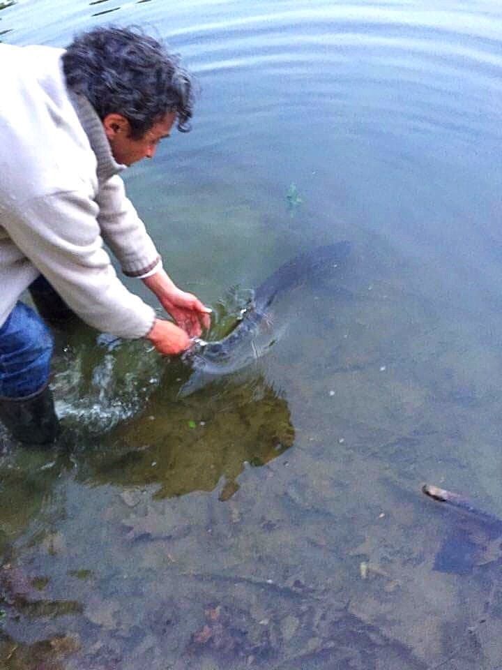 Brochet "salé" ! Le blog de italianbreizhfishing