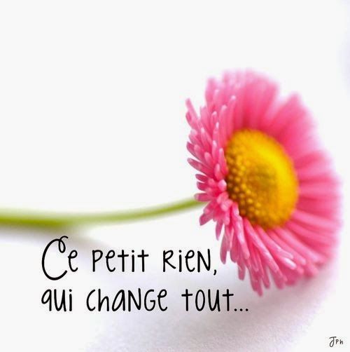 Une citation de bonheur pour une belle journée ! - Francette creation