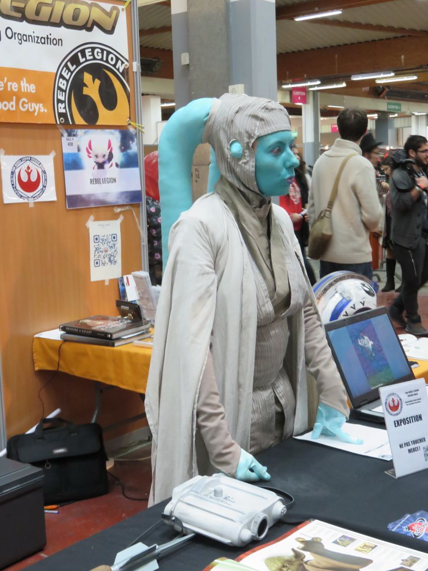TOULOUSE GAME SHOW 2015: Les cosplayeurs