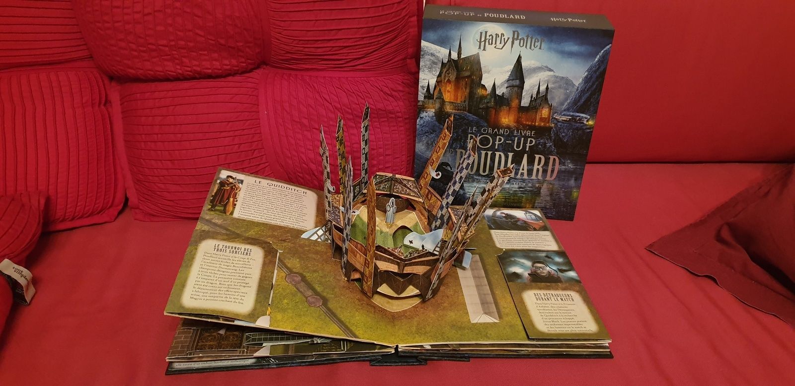 Harry Potter : le grand livre pop-up de Poudlard