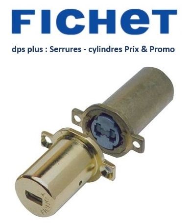 Fichet_Saint_Maurdes_Fosses