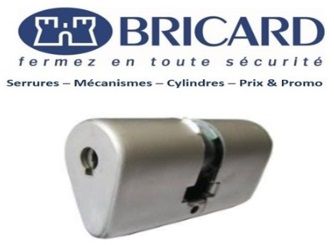 Bricard_Ovoide_Issy_les_Moulineaux