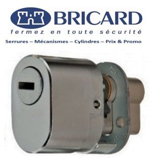 Bricard_dual_XP_la_celle_saint_cloud