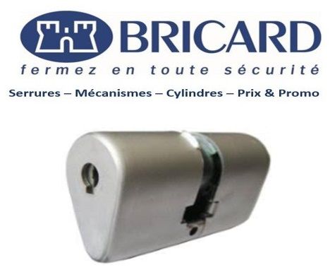Cylindre_Bricard_Ovoide_Puteaux