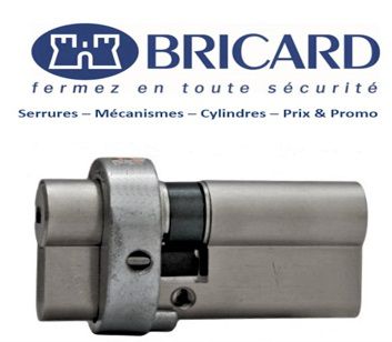 Bricard_Serial_Européen_Palaiseau