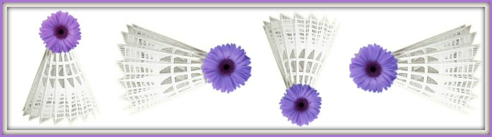 RÃ©sultat de recherche d'images pour "badminton printemps"