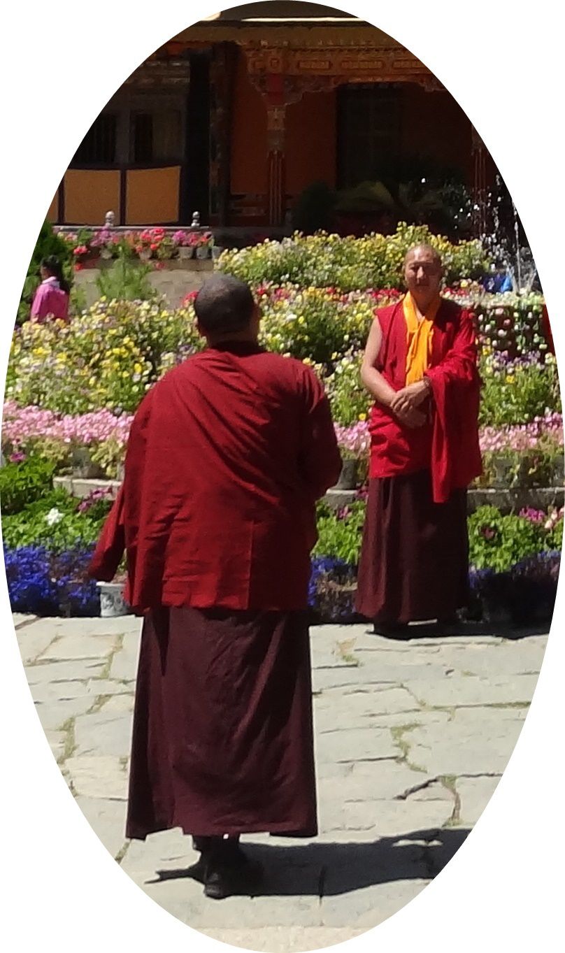 souvent par deux les moines sont coquets et aiment bien se prendre en photo .