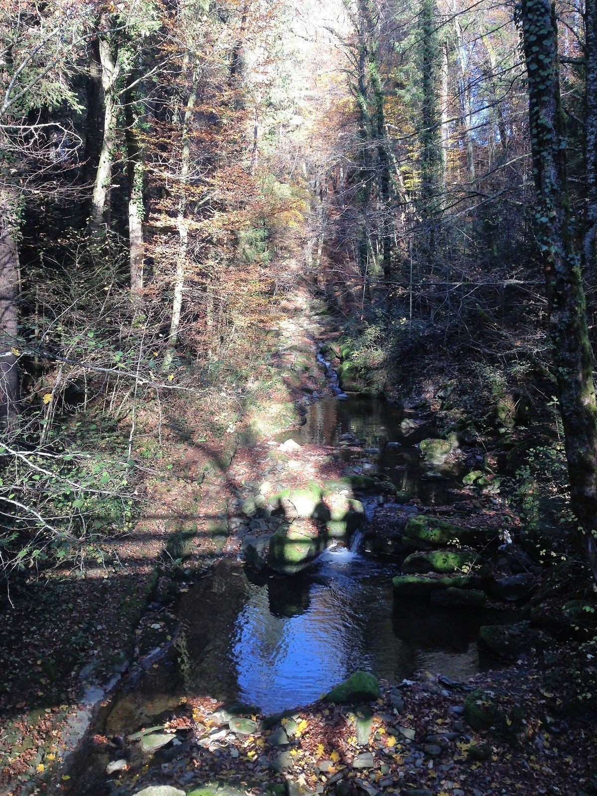 mardi 31 octobre : Pont.Chesalles sur Oron, Oron le Chatel ,Chapelle