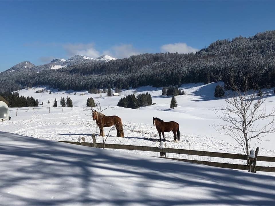 mardi 13 Février: Col des Étroits Mont des cerfs