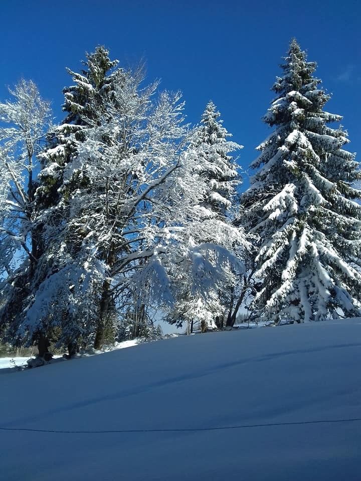 mardi 13 Février: Col des Étroits Mont des cerfs