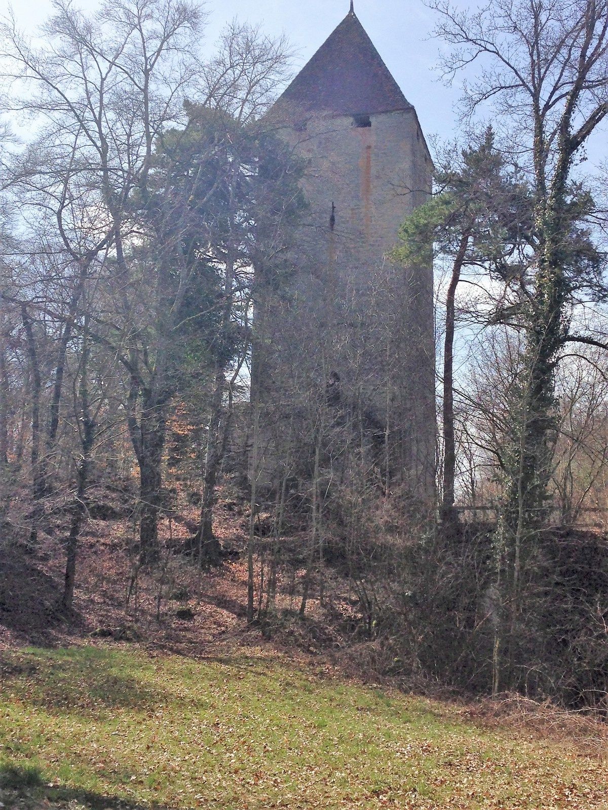 Vue magnifique depuis le Haut de la tour.