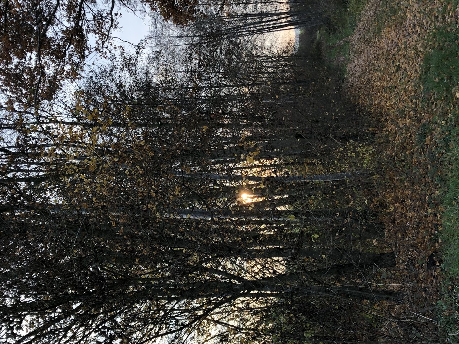 Mardi 20 novembre : Montet Frasse Sévaz Bussy