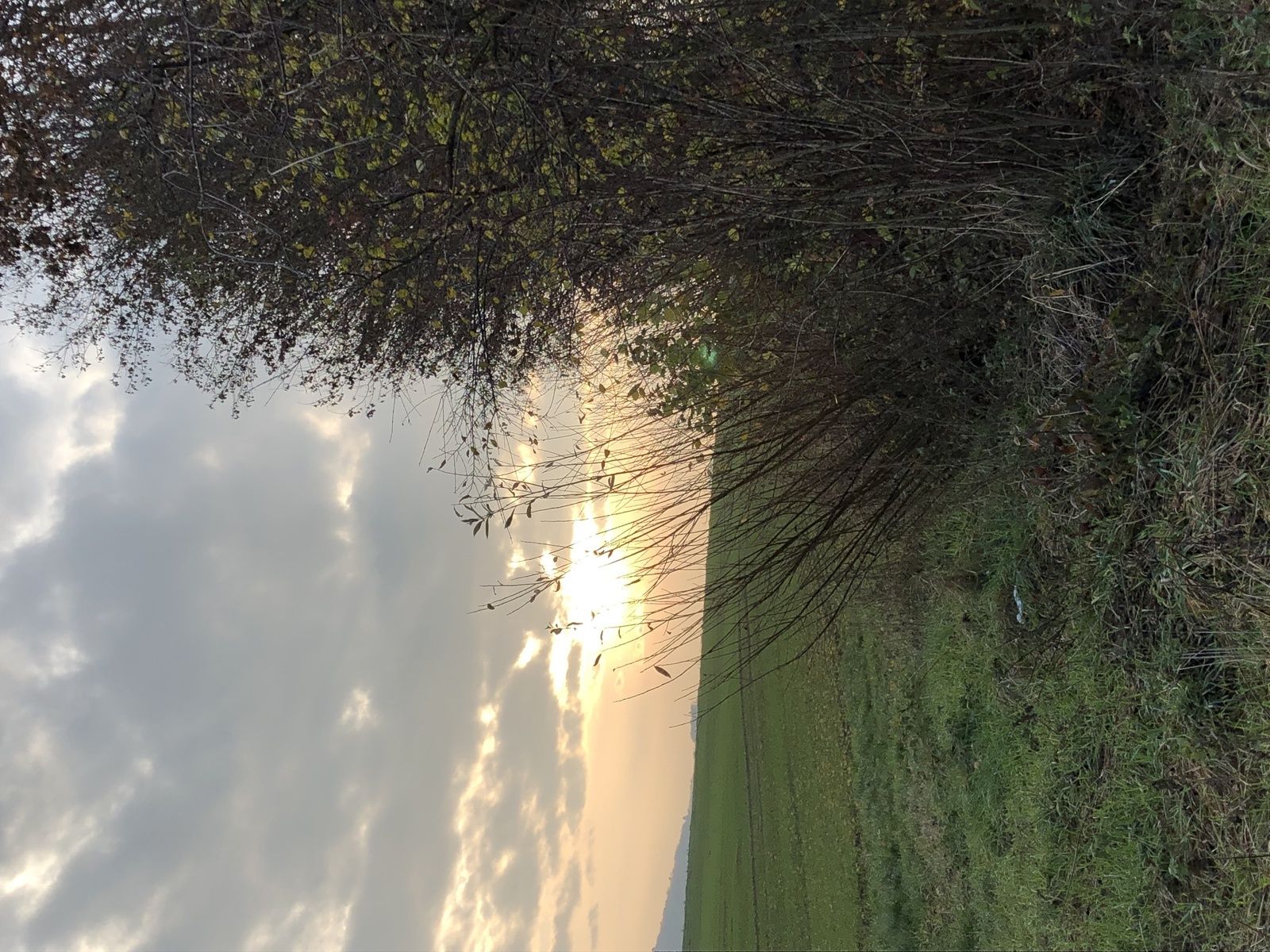 Mardi 20 novembre : Montet Frasse Sévaz Bussy