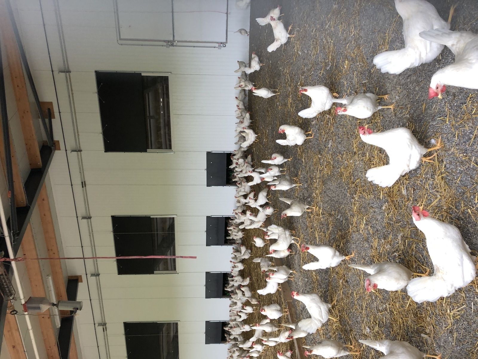 Mardi 20 novembre : Montet Frasse Sévaz Bussy