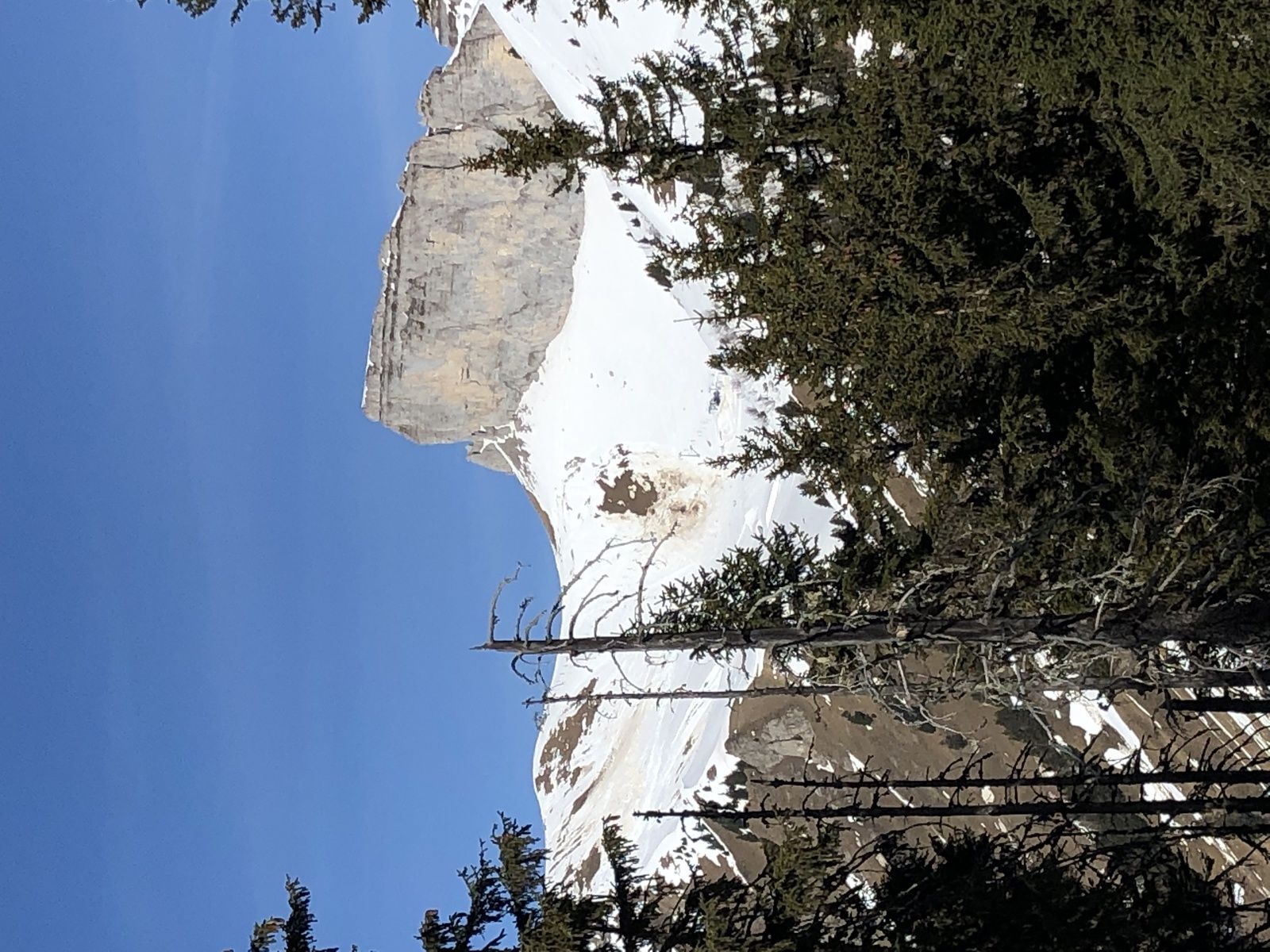 Mardi 26 Février : Leysin