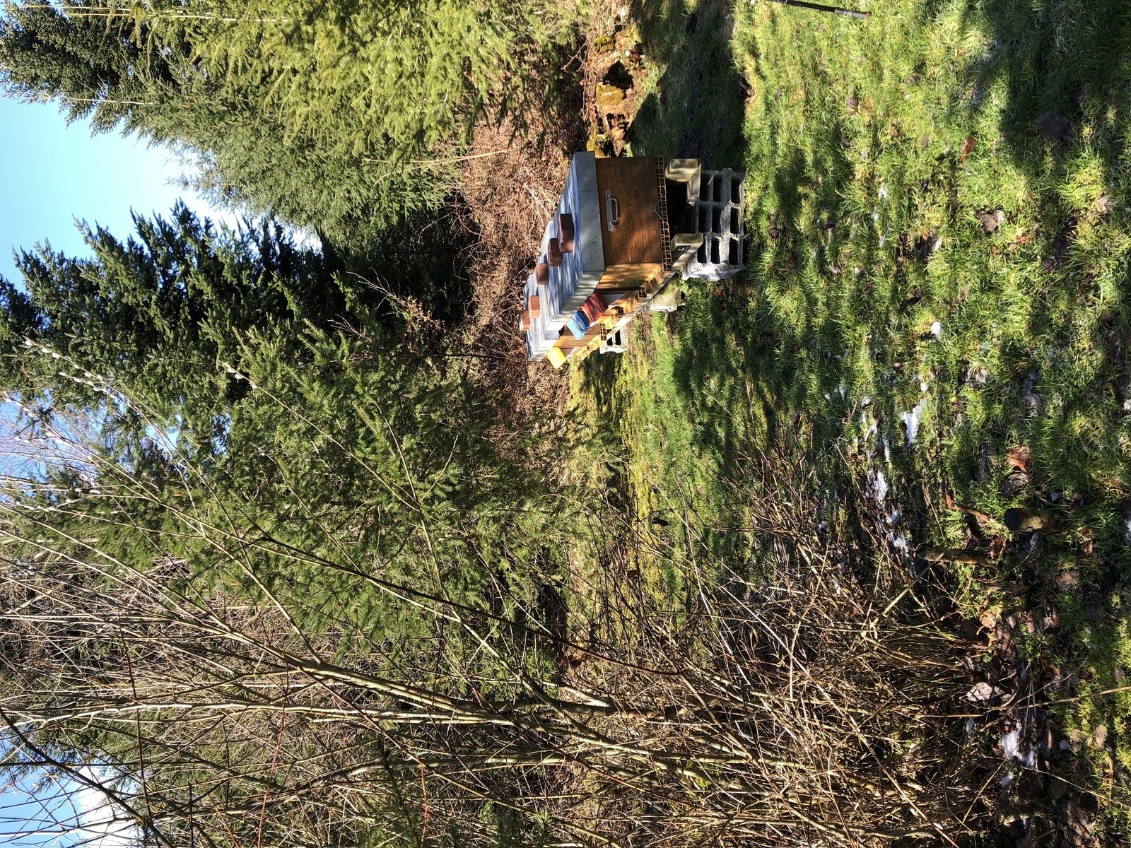 Mardi 19 Mars : Du coté de Châtonnay Villarimboud