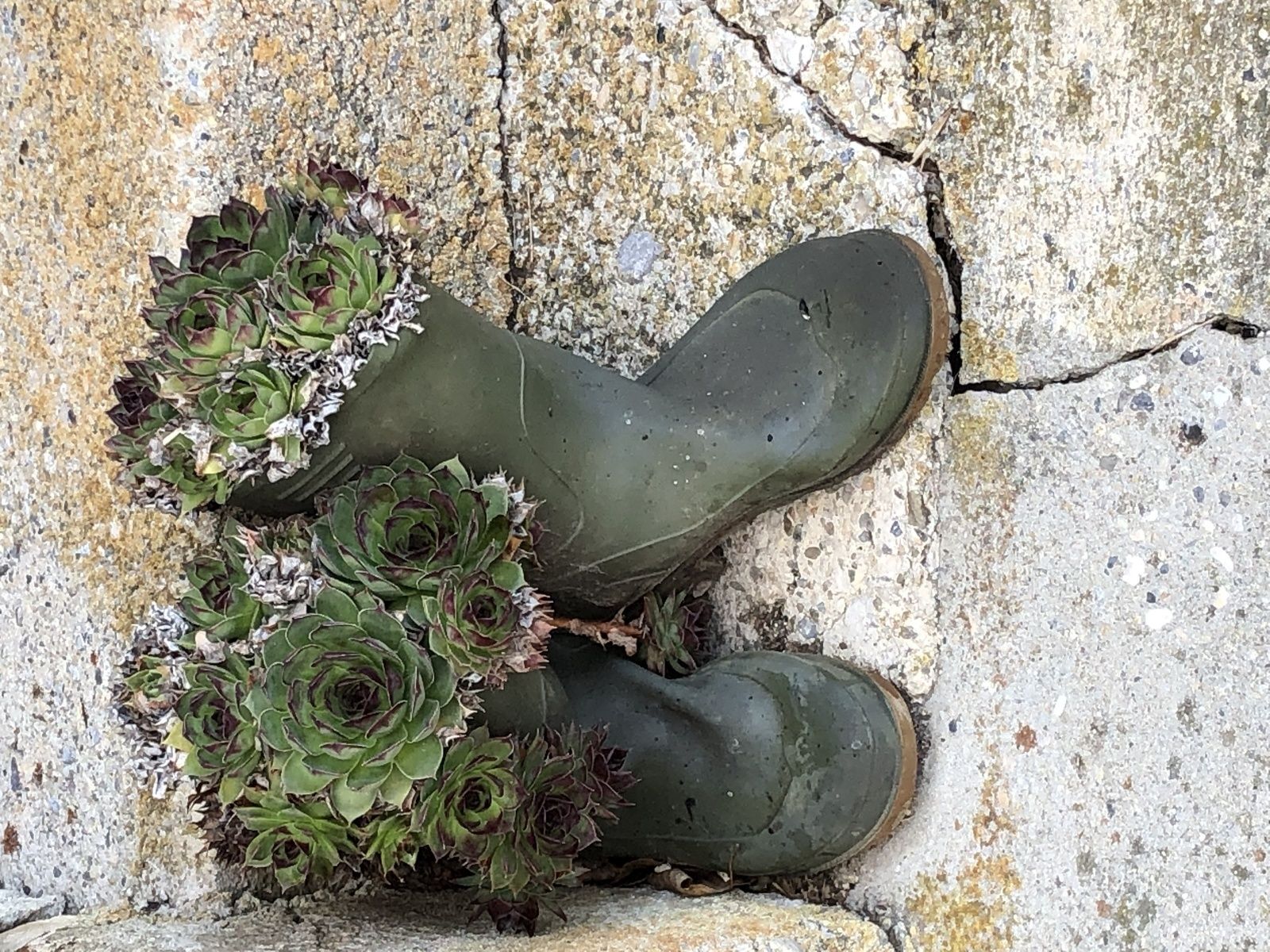 Mardi 9 Avril : Le long de l'Arnon , Villards Burquin, Champagne