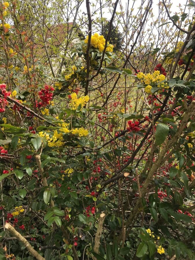 Mardi 16 Avril : circuits des fontaines décorées au Vully