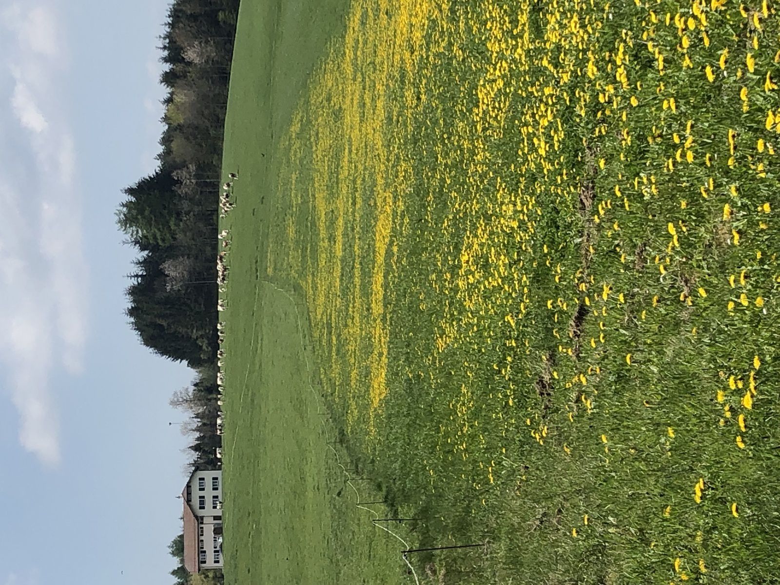 Mardi 30 Avril : Jorat