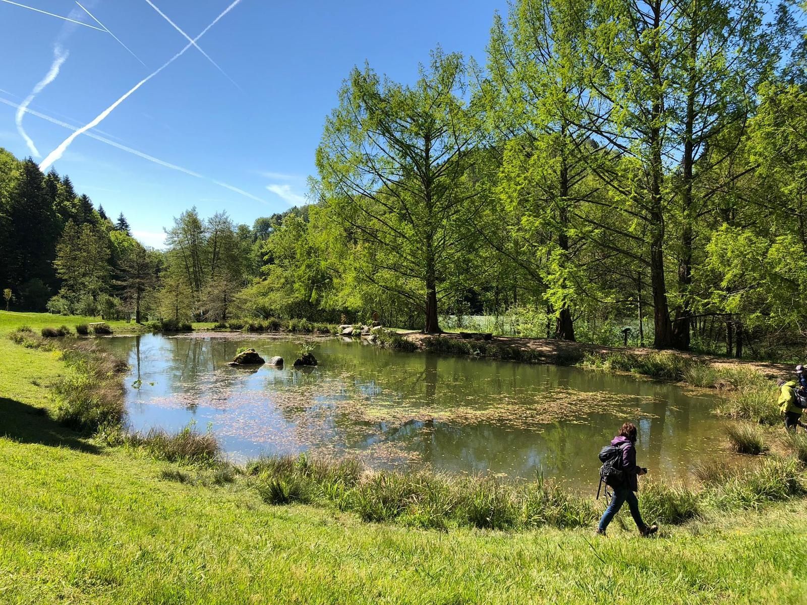 Mardi 14 Mai : Aubonne et Arborétum
