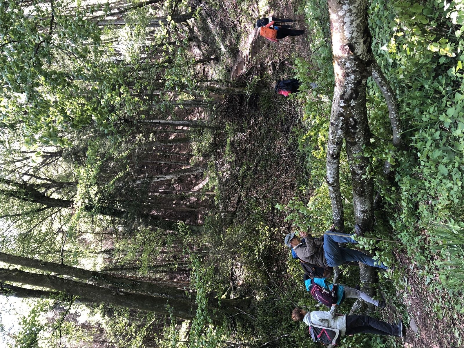 Mardi 14 Mai : Aubonne et Arborétum