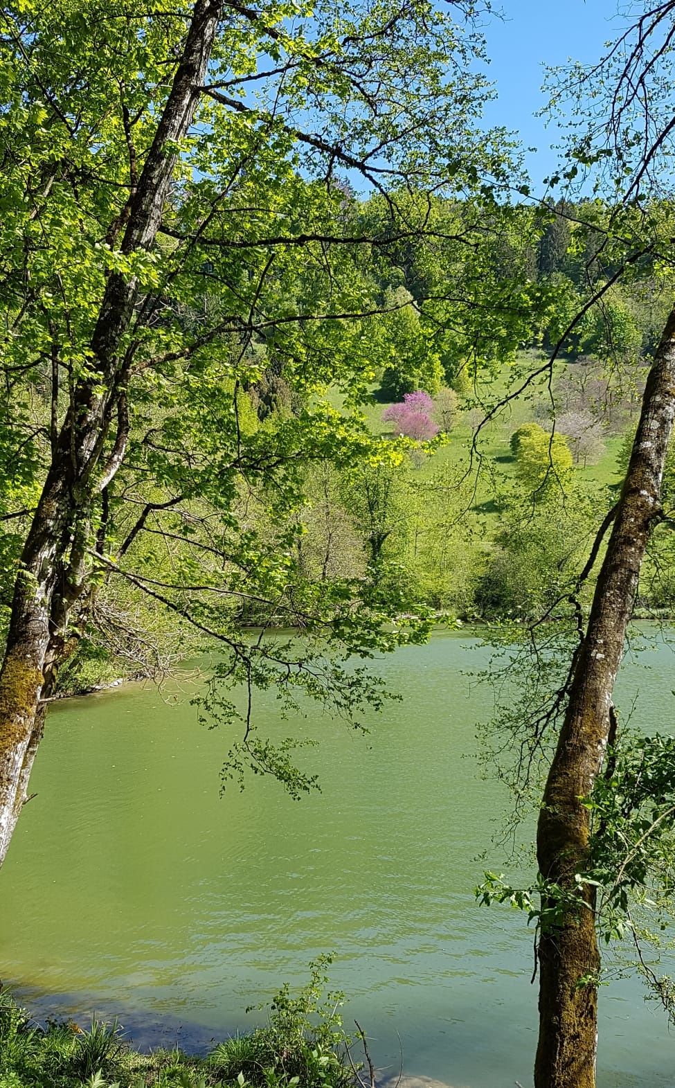 Mardi 14 Mai : Aubonne et Arborétum