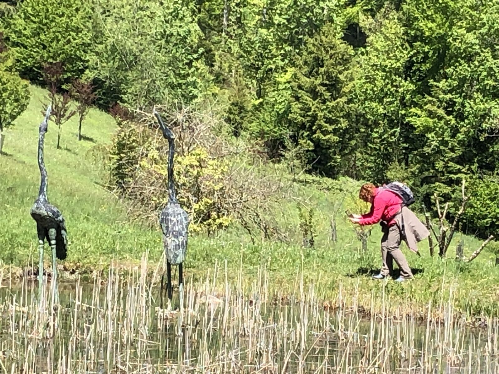 Mardi 14 Mai : Aubonne et Arborétum