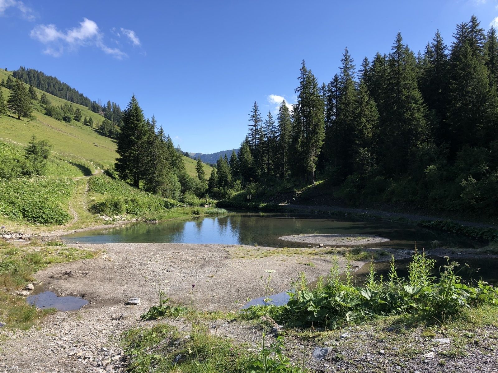 Mardi 16 Juillet : Morgins