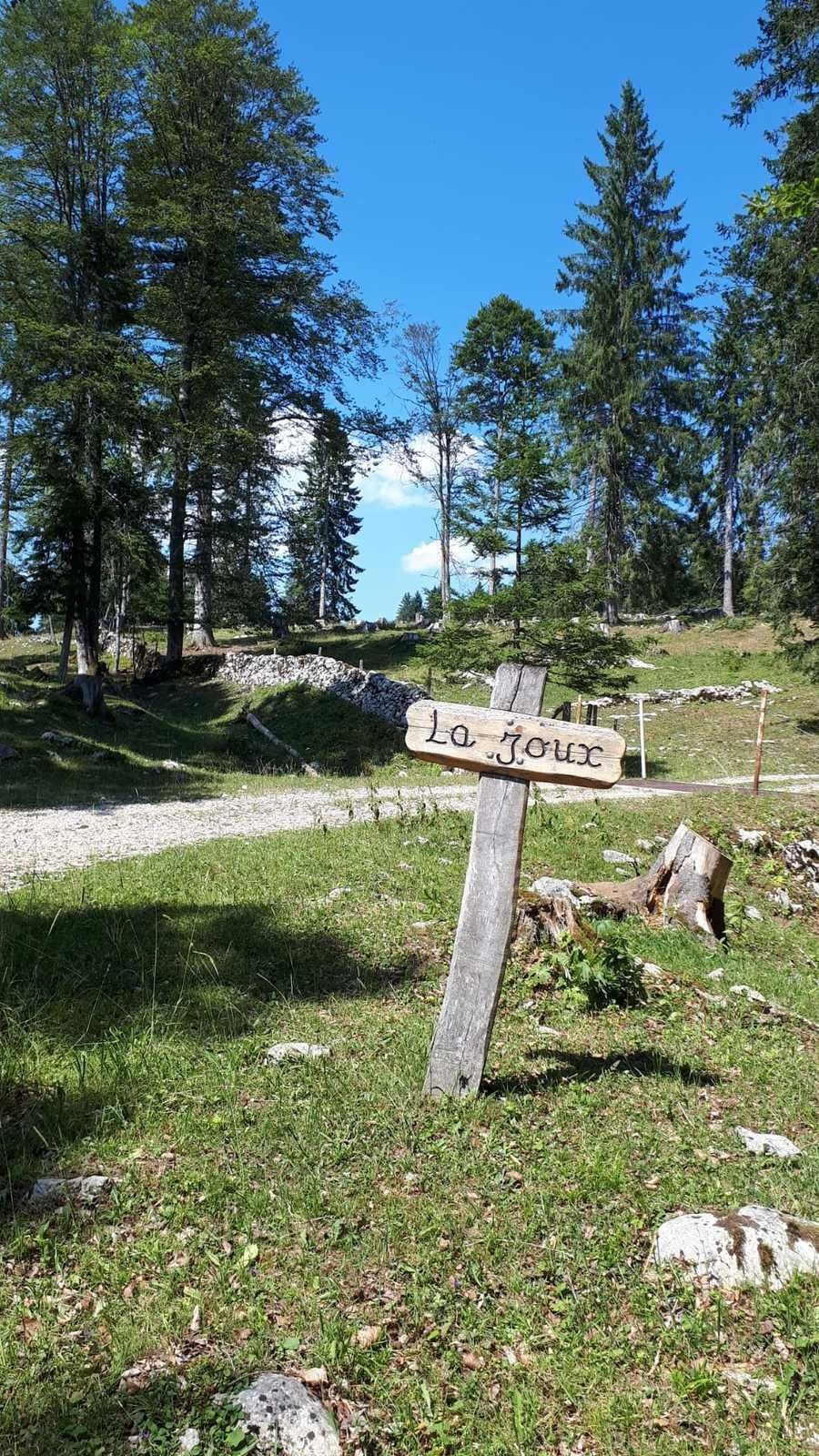 Mardi 23 Juillet : Lignerolle La Tiole Entre les Fours