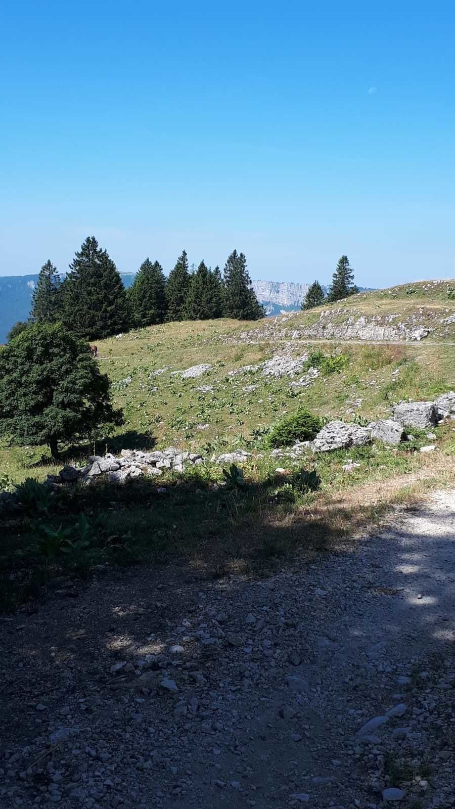Mardi 23 Juillet : Lignerolle La Tiole Entre les Fours