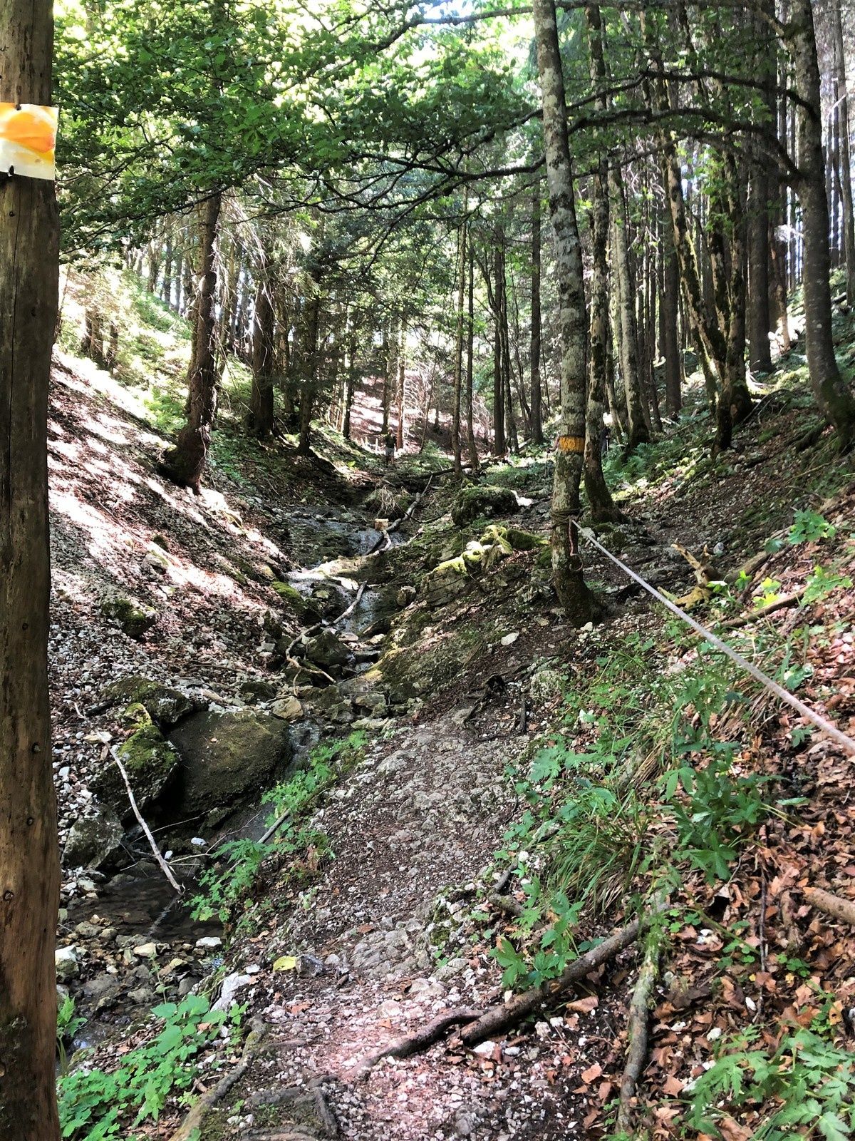 Mardi 23 Juillet : Lignerolle La Tiole Entre les Fours