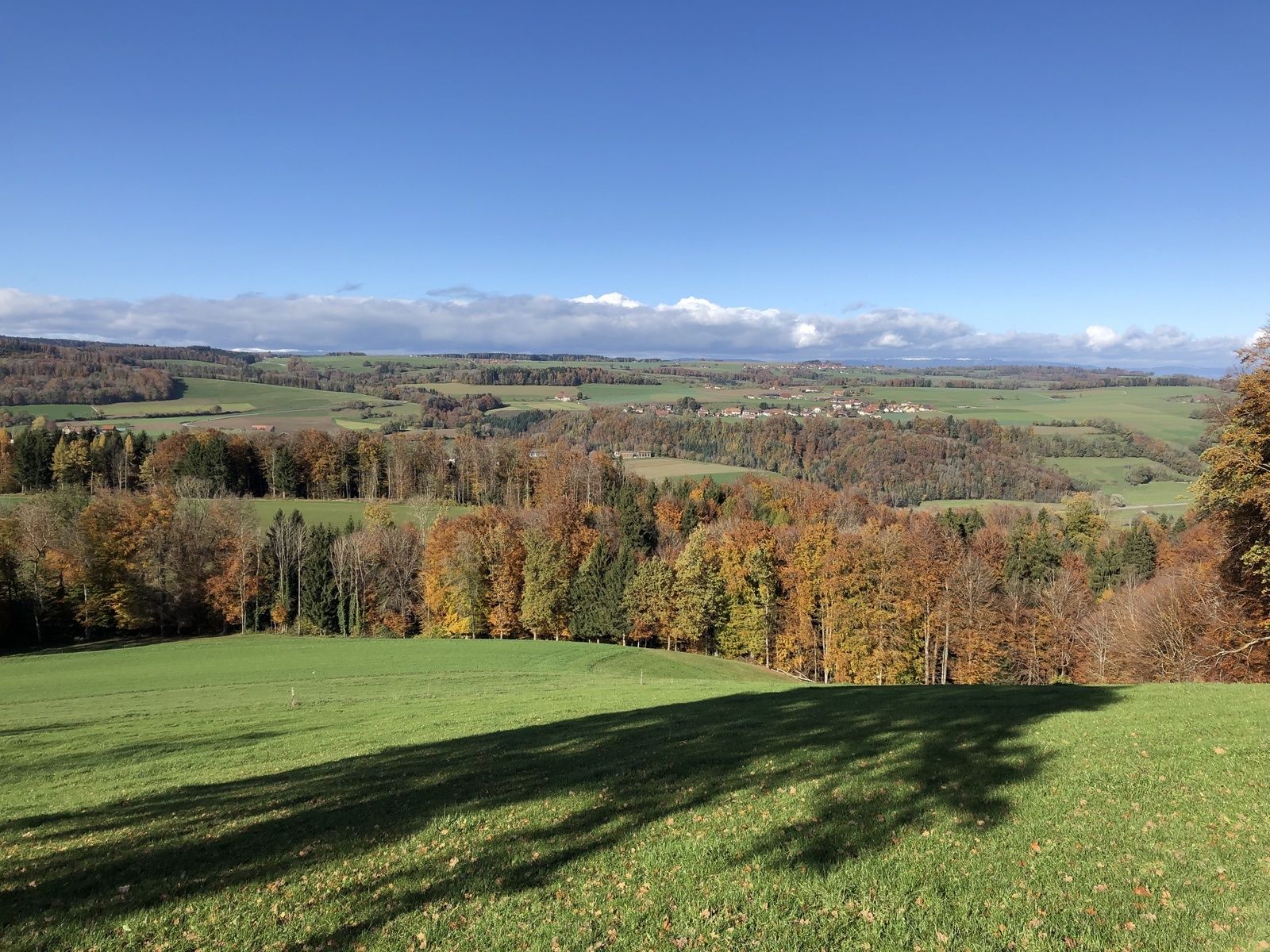 Mardi 12 Novembre : Moudon Chavannes sur Moudon