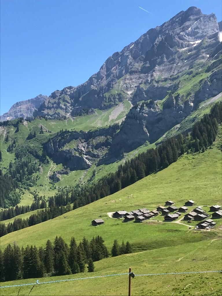 MARDI 7 JUILLET 2020 : Solalex Taveyanne