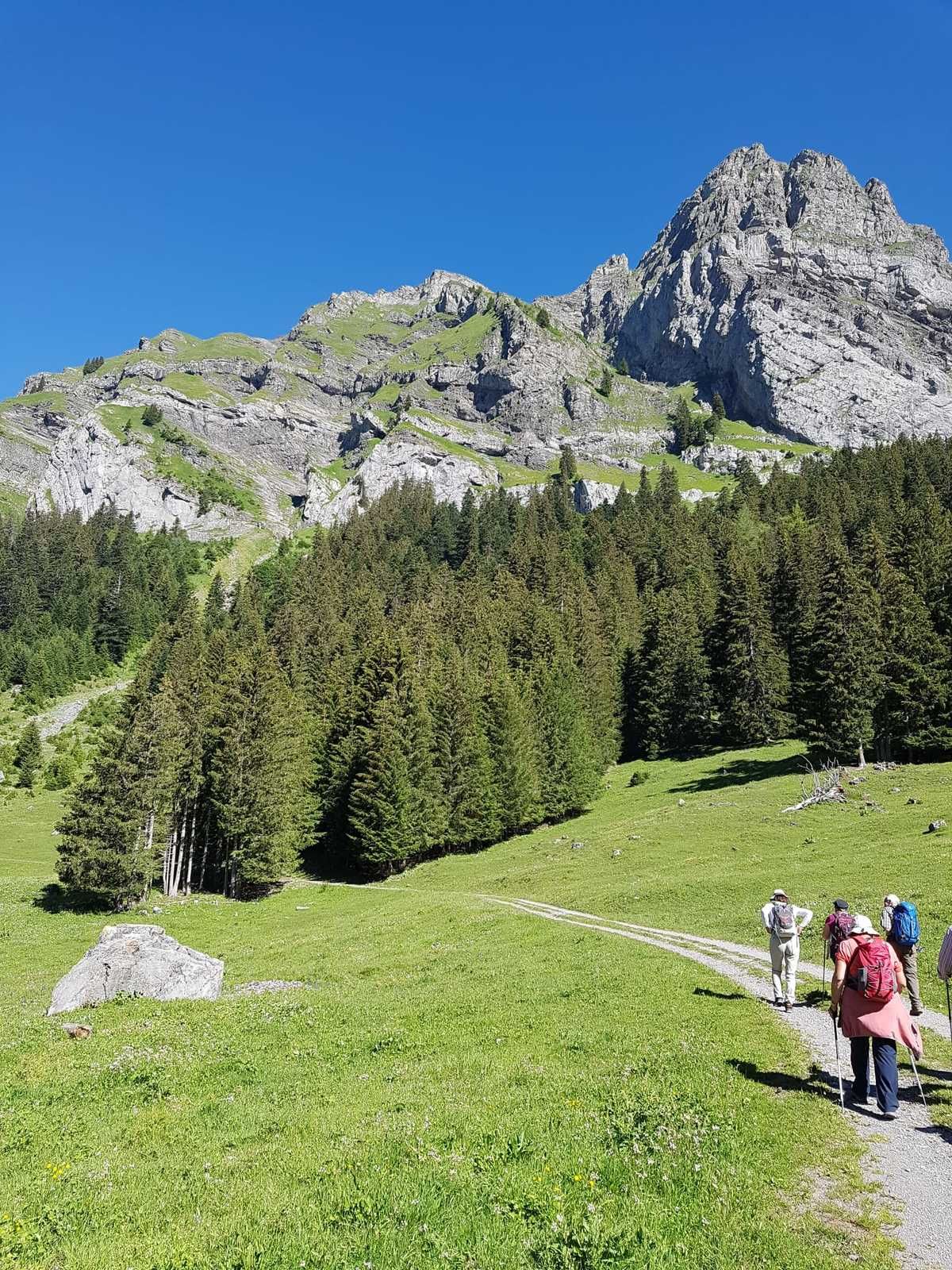 MARDI 7 JUILLET 2020 : Solalex Taveyanne