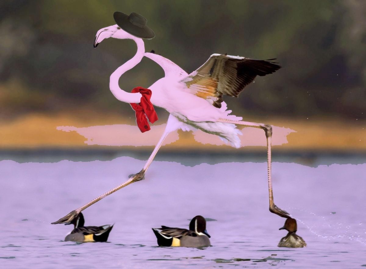 de l'arithmétique et des minorités agissantes