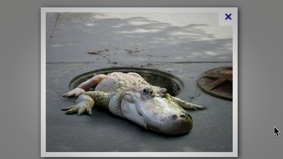 Et si Finkielkraut apprenait l'orthographe et si Bussereau s'achetait des lunettes ?