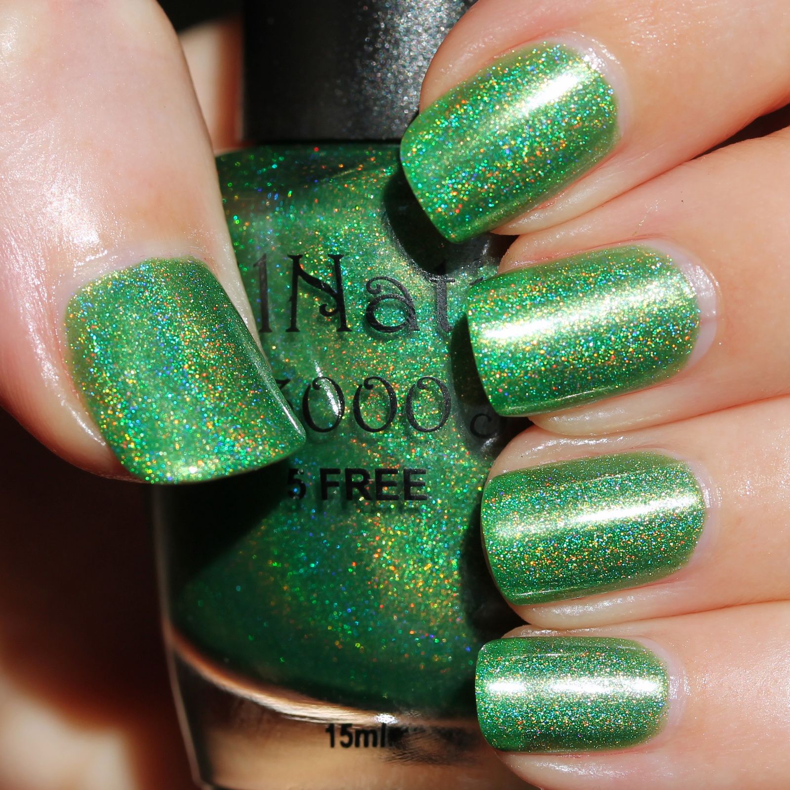 Nail Nation 3000 Grinch in a Blender (2 coats, no top coat)